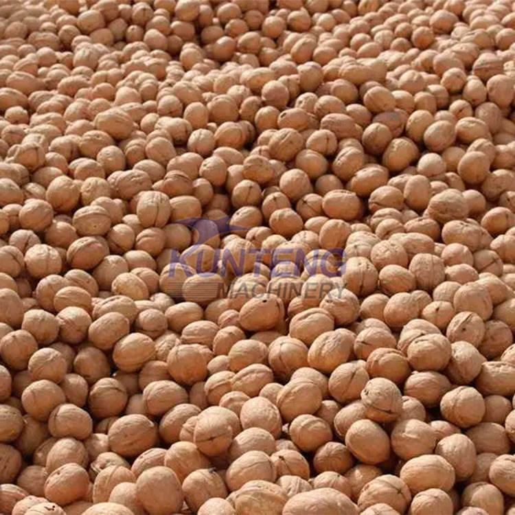 Best Price Nuts Walnut Mesh Belt Dryer Continuous Drying Machine For Food & Vegetable - Capacity: 1000 Kg/hr
