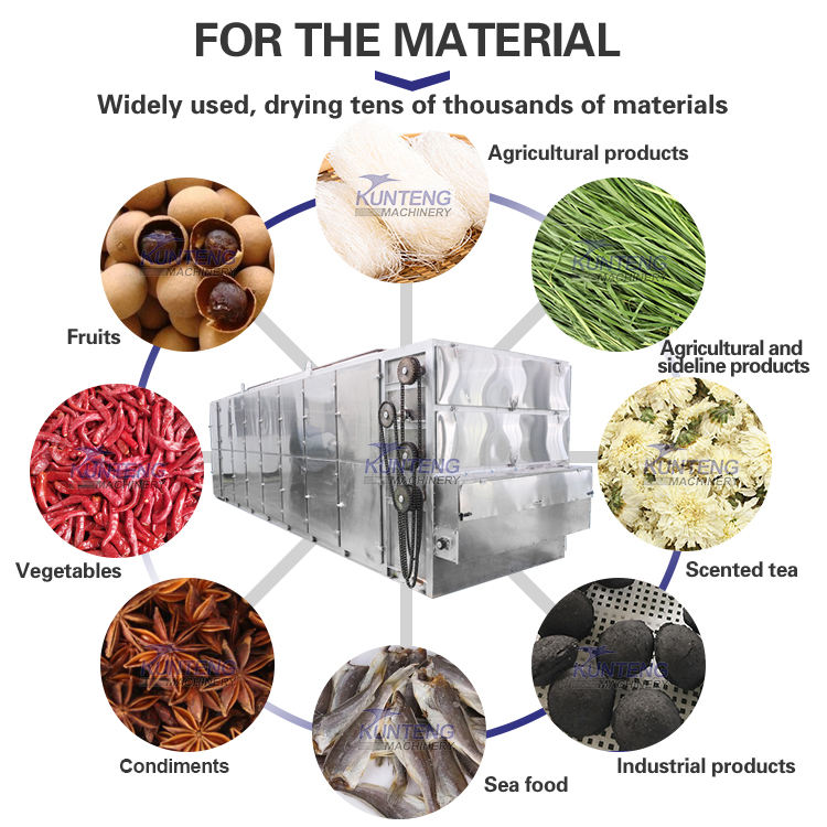 Best Price Nuts Walnut Mesh Belt Dryer Continuous Drying Machine for Food & Vegetable