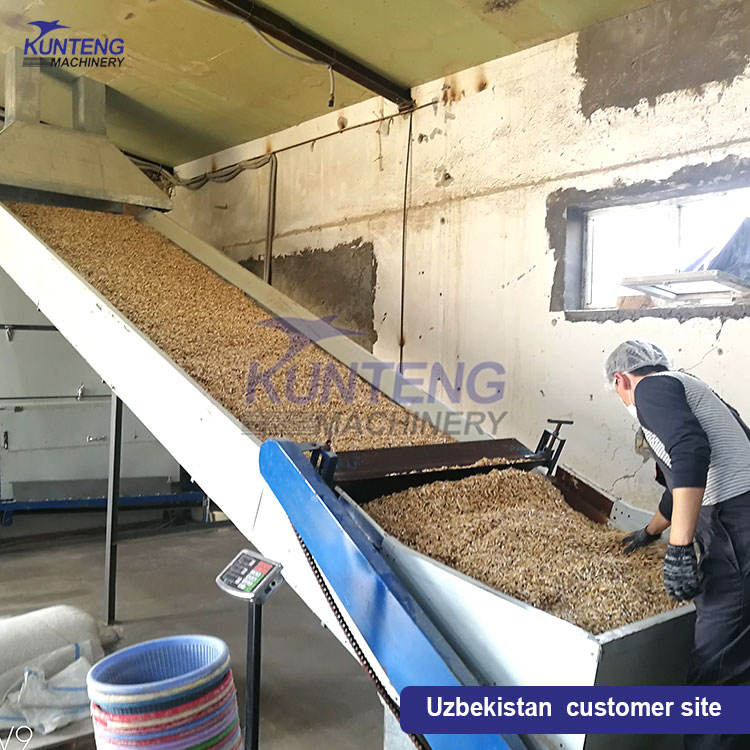 Best Price Nuts Walnut Mesh Belt Dryer Continuous Drying Machine for Food & Vegetable