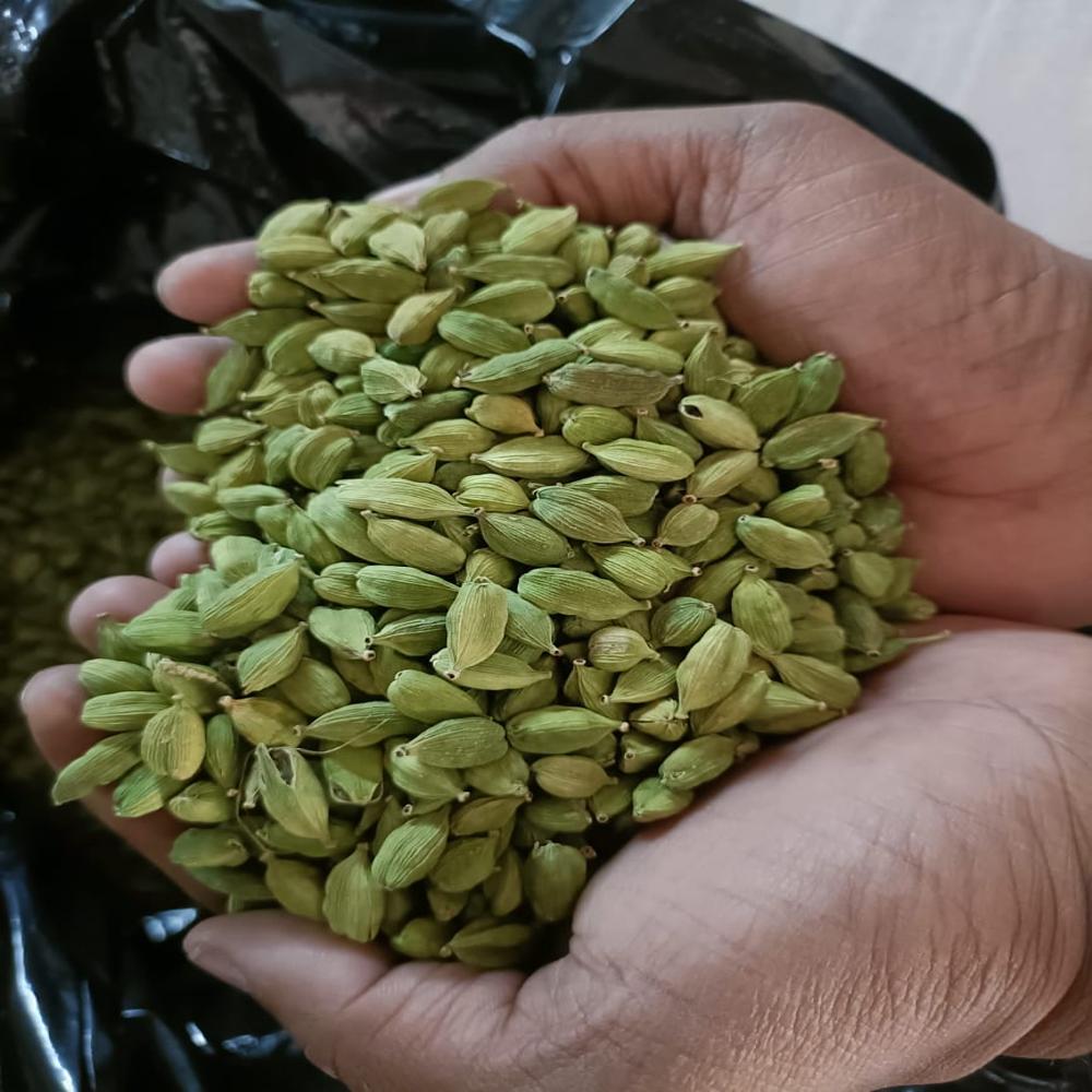 Green Cardamom / Elaichi - Grade: Food