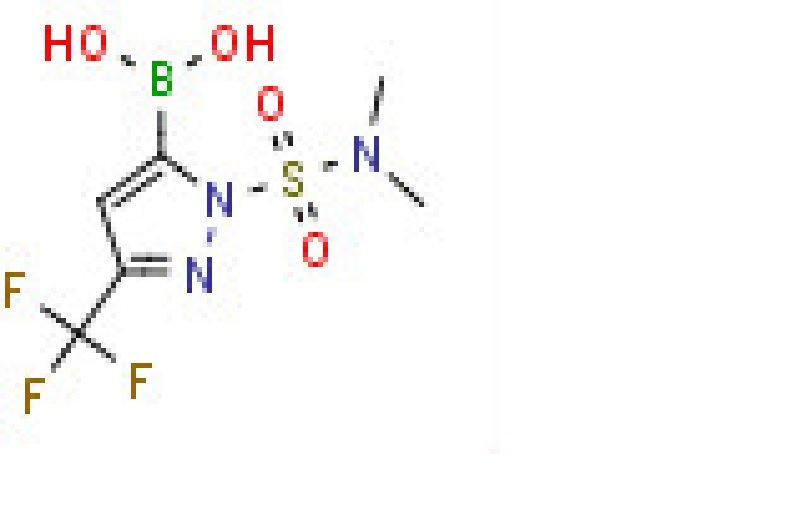 1-Dimethylsulfamoyl-3-(trifluoromethyl)pyrazole-5-boronic acid
