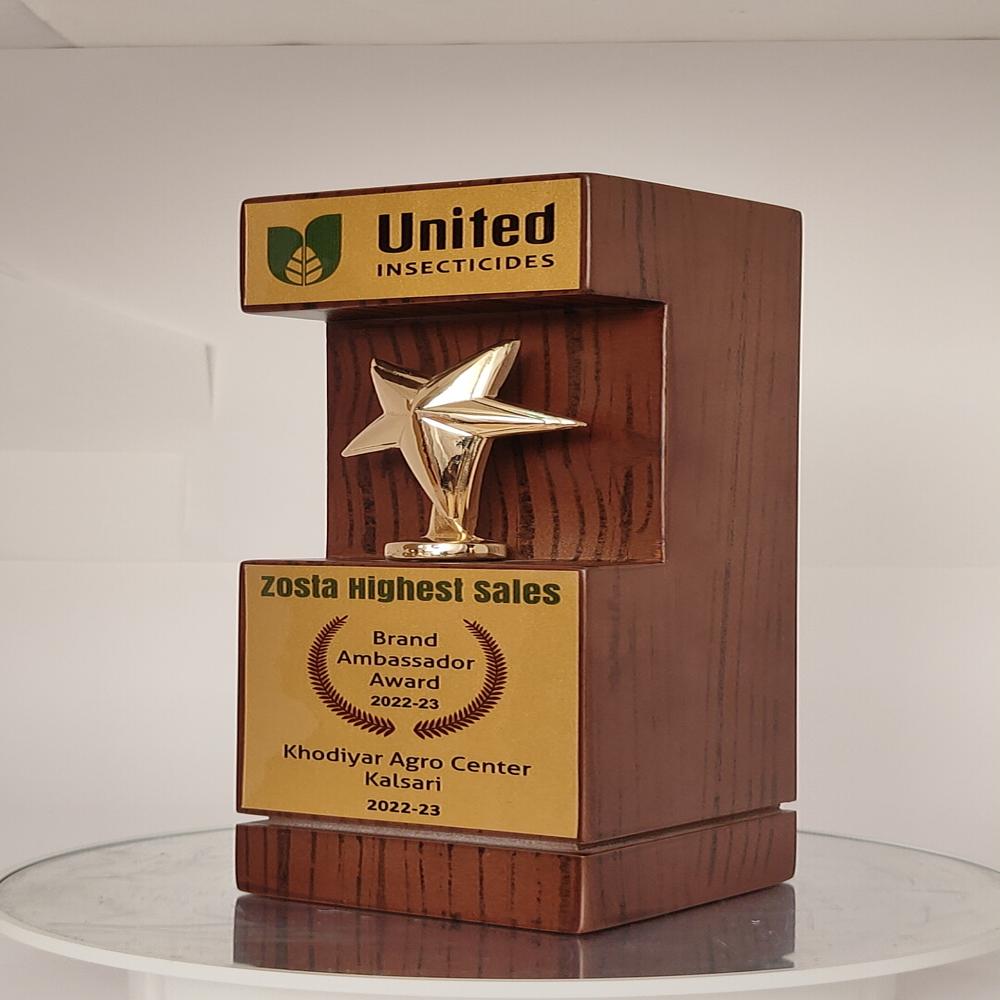 Corporate Trophy Awards - Base Material: Wooden And Metal