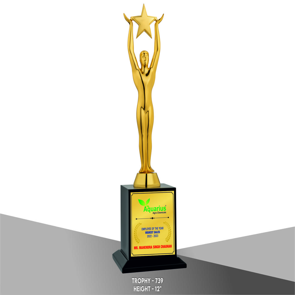 Brass Figures And Awards