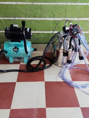 Milking Machine - Capacity: 11 Ltr