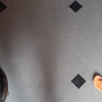 Plane Blake Dibi Stone