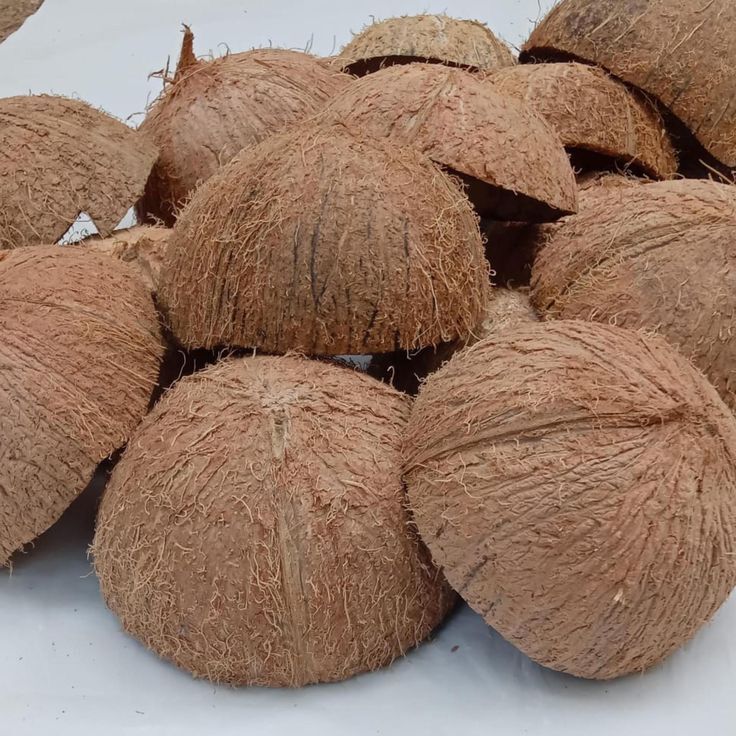 नारियल का खोल