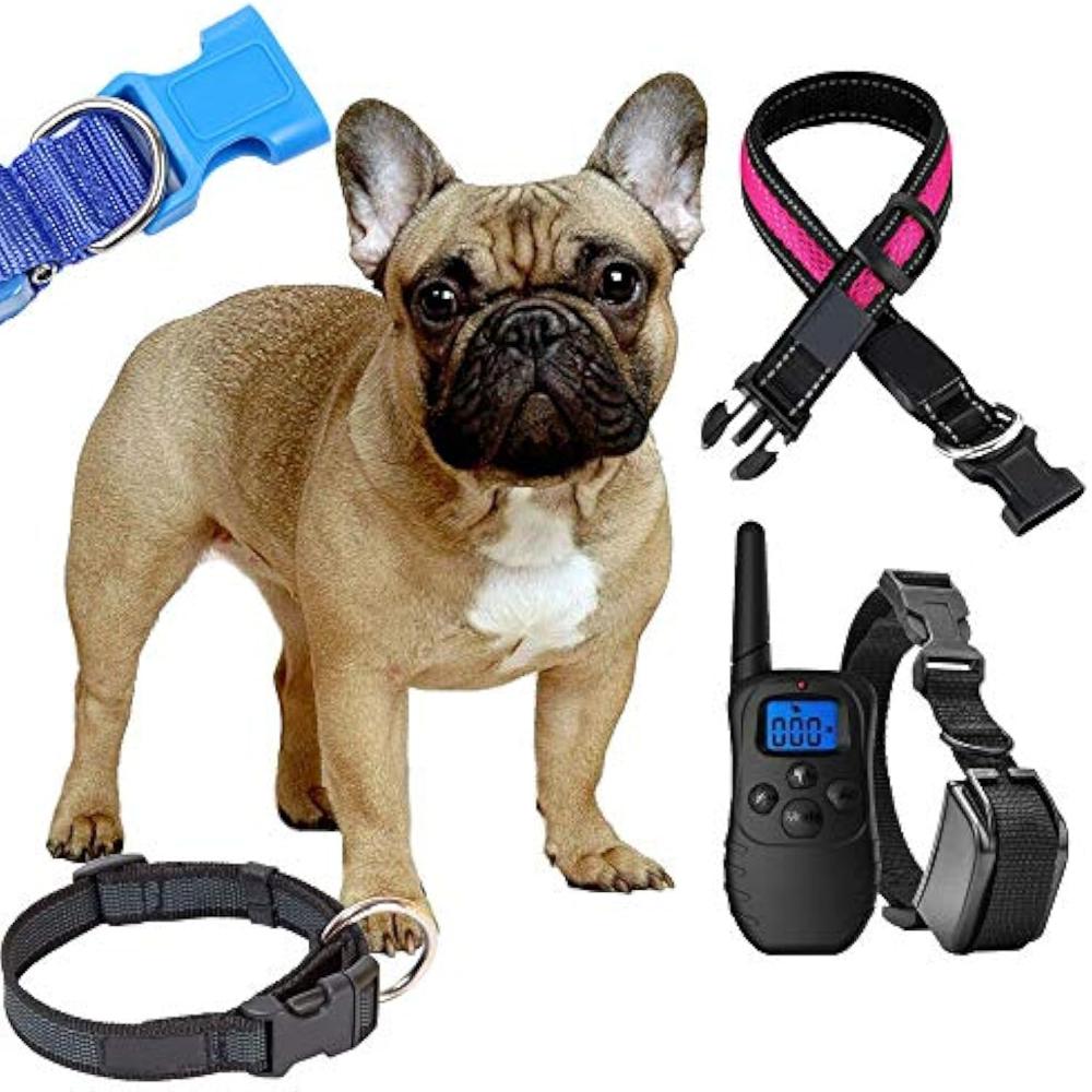 Colourful Quick Side Release Plastic Buckles for Paracord Bracelets Pet Collar Belt Strap Craft Accessory