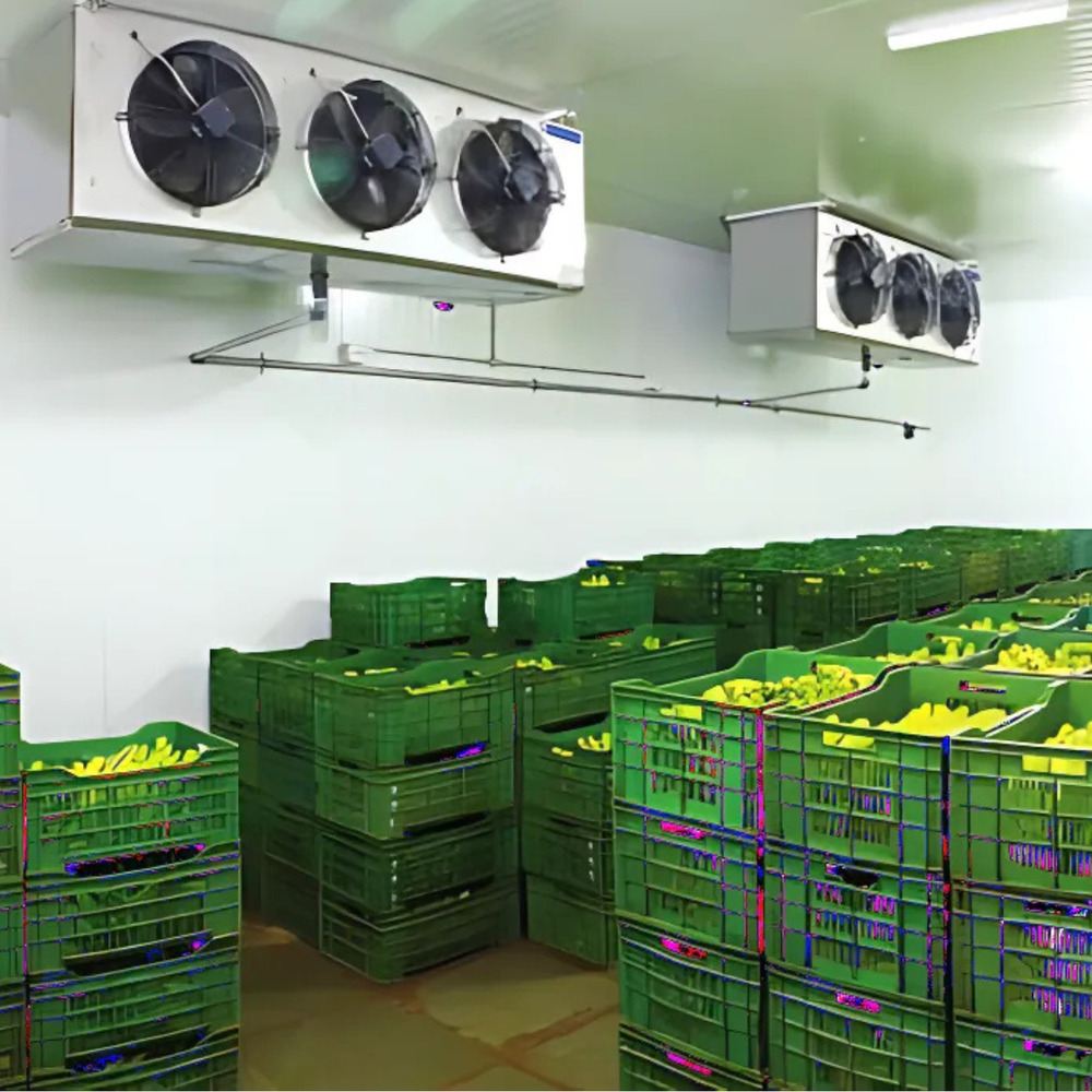 Cold Storage Rooms - Body Material: As Per Requirement