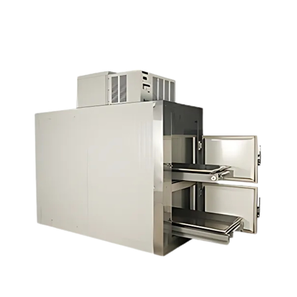 Mortuary Chambers - Body Material: As Per Requirement