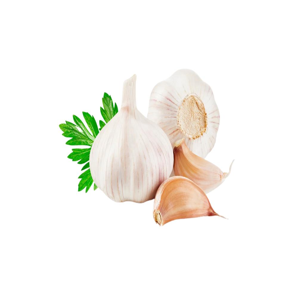 Fresh Garlic