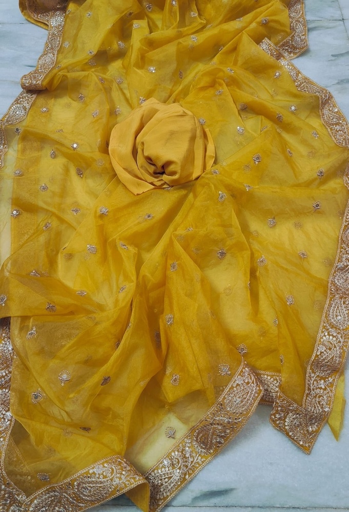 Organza sequence butta sarees with beautiful zardoshi lace