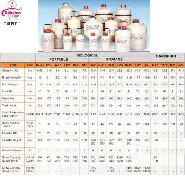 Ai Container Inox Liquid Nitrogen - Application: Ln2 Storage