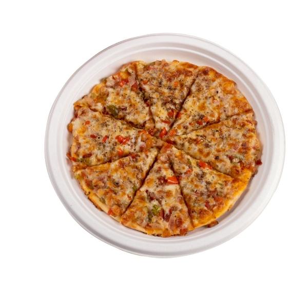 9 inch biodegradable food plate