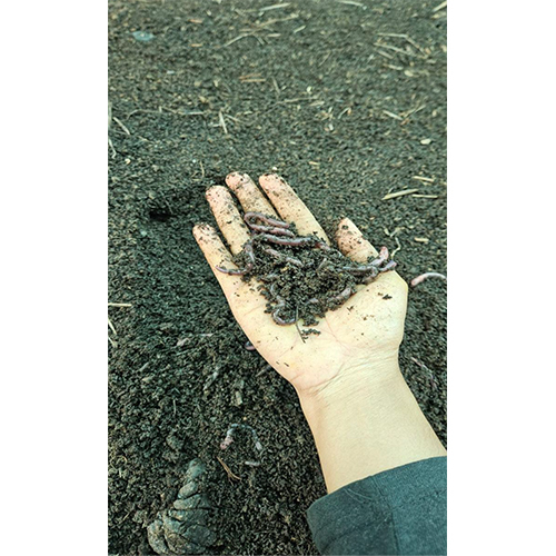 Vermi Compost Powder