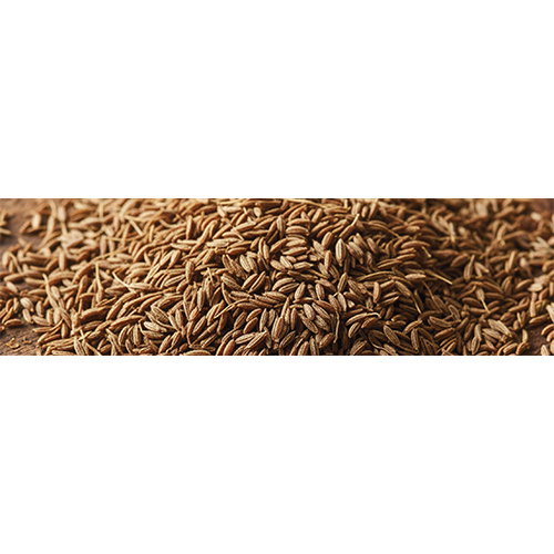 Cumin Seeds - Color: Brown