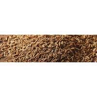 CUMIN SEEDS