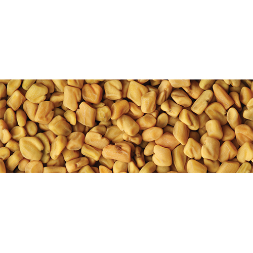 Fenugreek Seeds - Grade: A