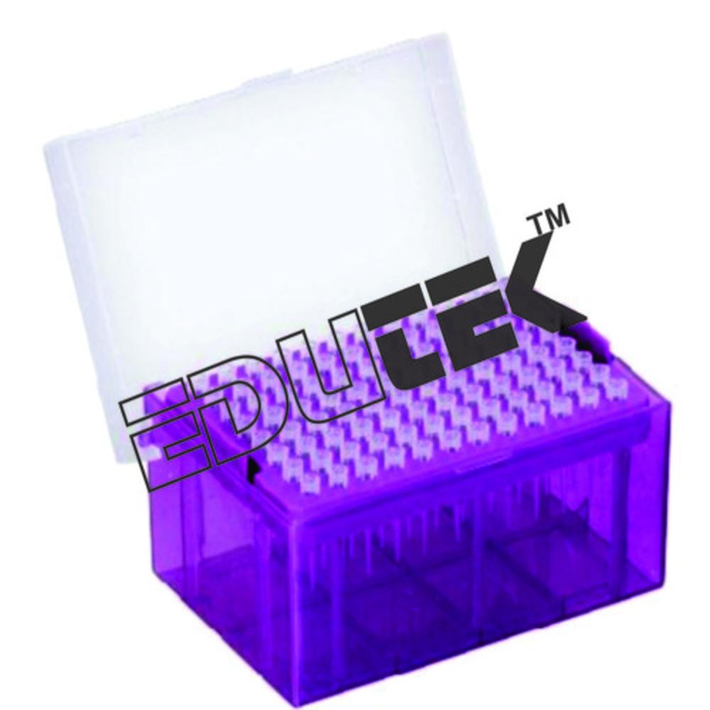 Pipette Tips