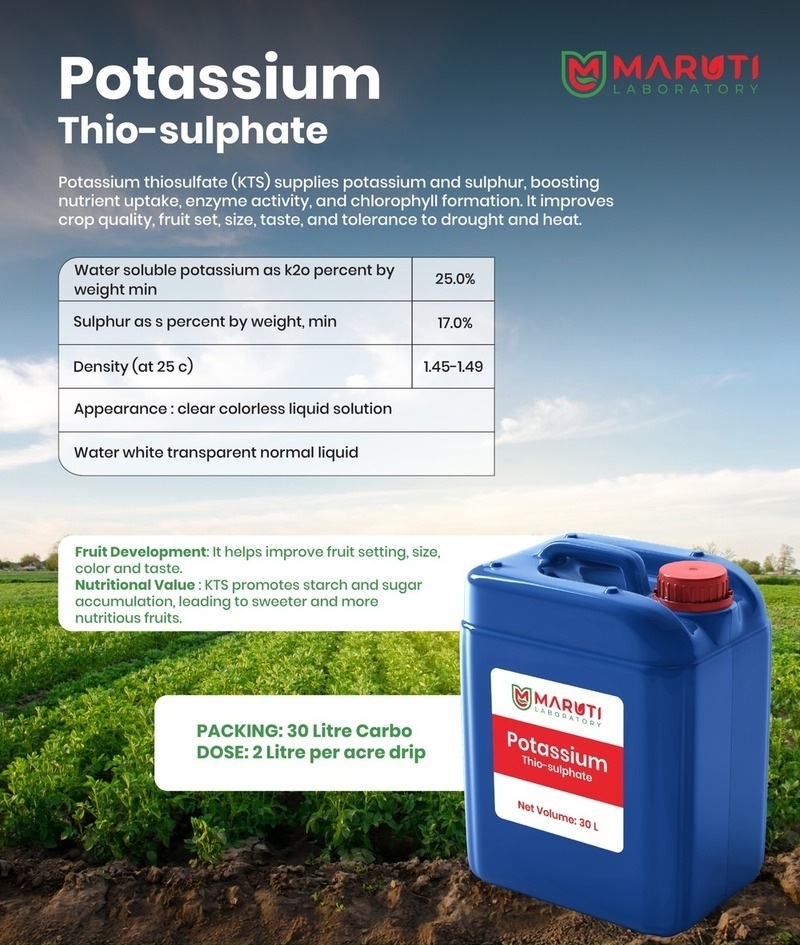 Potassium Thiosulphate