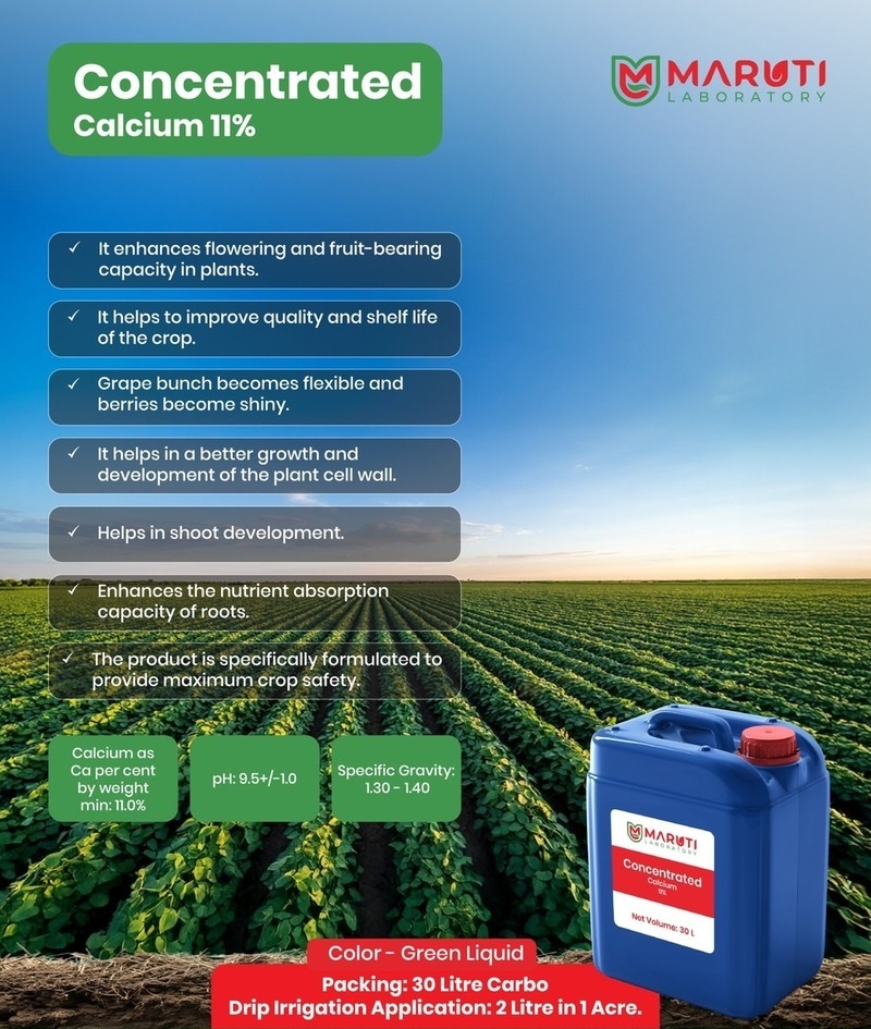 Concentrated Calcium 11%