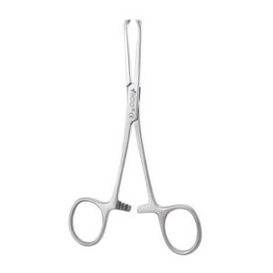 Allis Forcep - Color: Silver