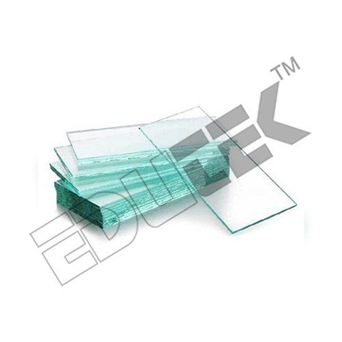 Brucella Microscopic Slides