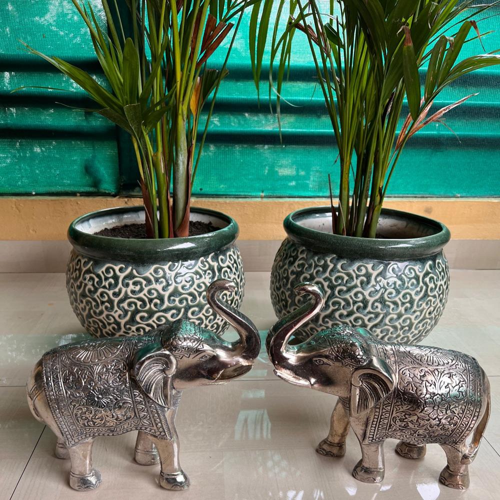 Giant Elephants - Color: Silver