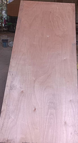 Plywood Sheet - Moisture Content: 12%