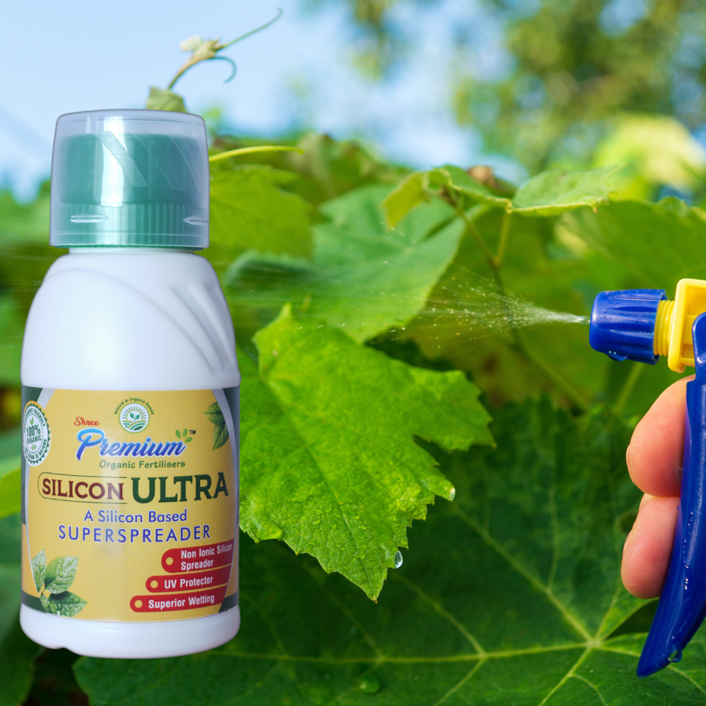 Silicon Spreader for Agriculture 4 To 5 ML Per 15 Liters Water Dose, 95%-98% Purity | Reliable, High Grade Raw Material, Environmentally Friendly