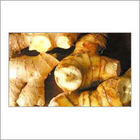 ताजा अदरक