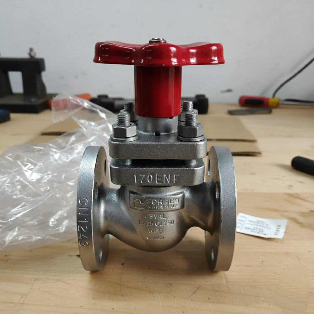 DN25 Forbes Marshall Cast Steel Piston valve Class 150 PSVAL