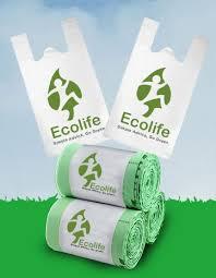 Biodegradeable Grocery Bag - Color: White