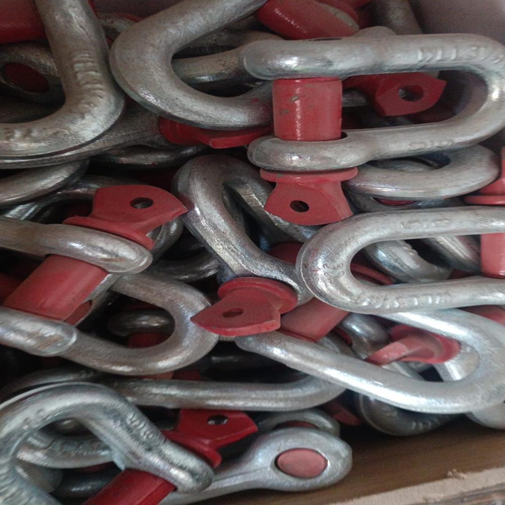 Dee Shackle - Color: Red