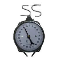 Hanging Scale