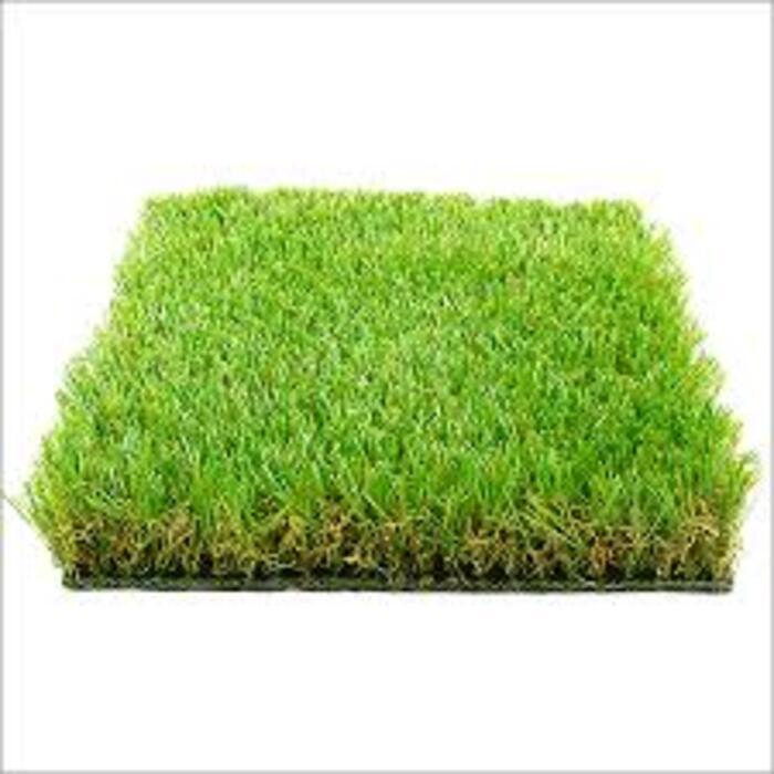 Lawn Grass