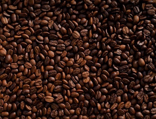 Decafe Coffee Powder - Cultivation Type: Common