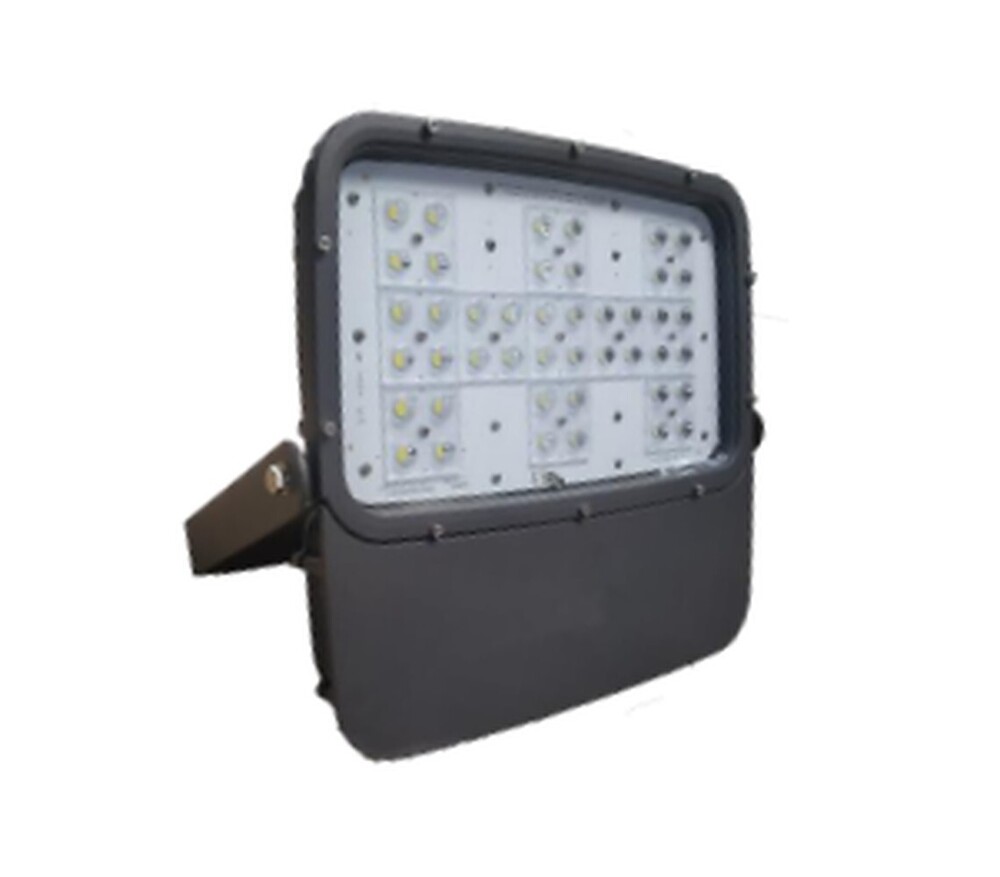 200W Erastar Pro Wsfl Flood Light - Application: Outdoor