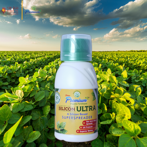 Silicone Surfactant for Crops Agriculture Application