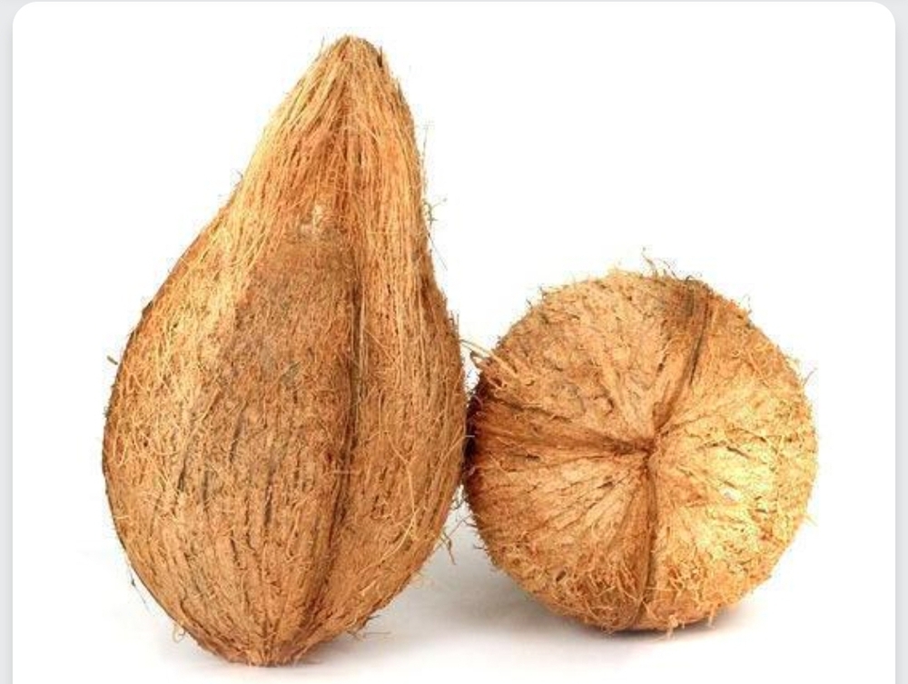 husked coconut