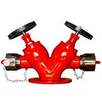 Double Outlet Landing Valve