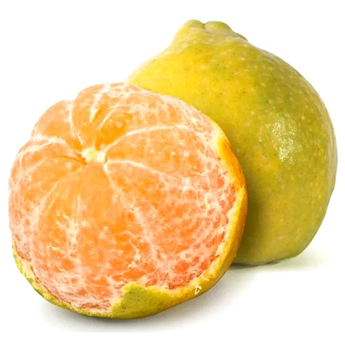 Fesh Oranges