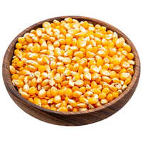 Yellow Maize