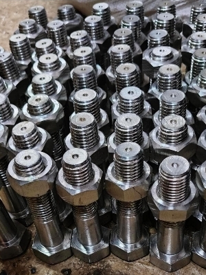 Stainless Steel Fastener - Application: Industries