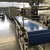 Inspection Conveyor