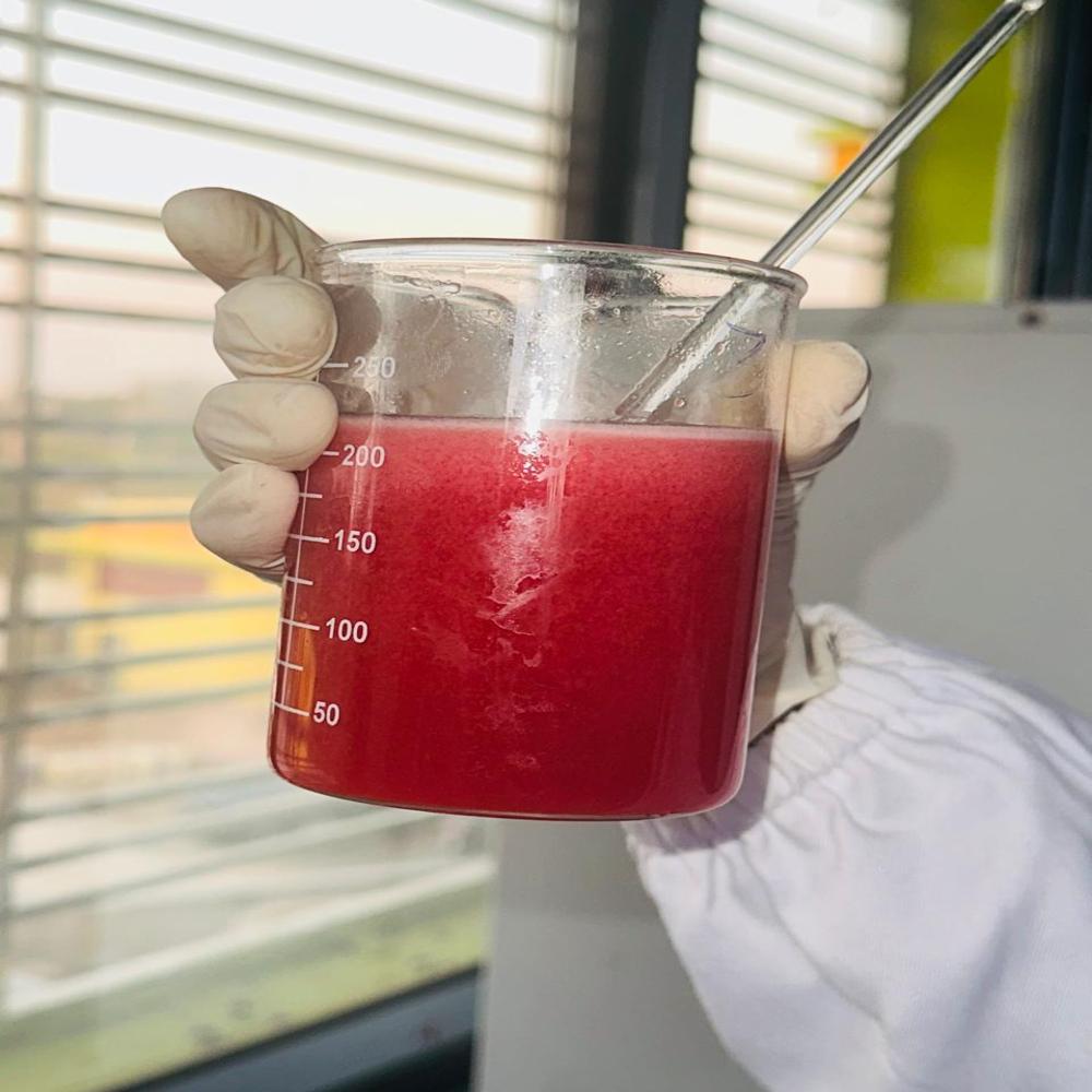 Raspberry Juice Powder - Purity: 95% - 98%