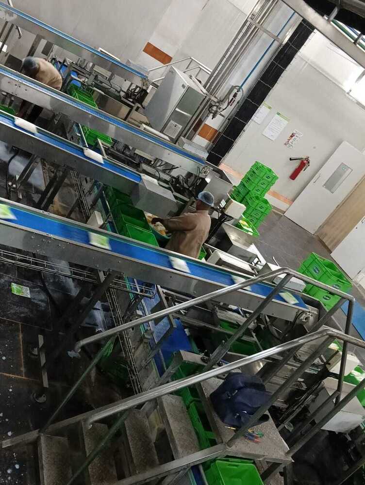 Milk Pouch Automation
