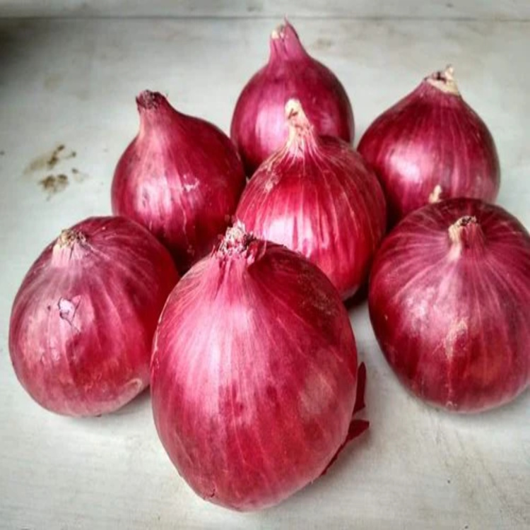 Fresh Red Onion