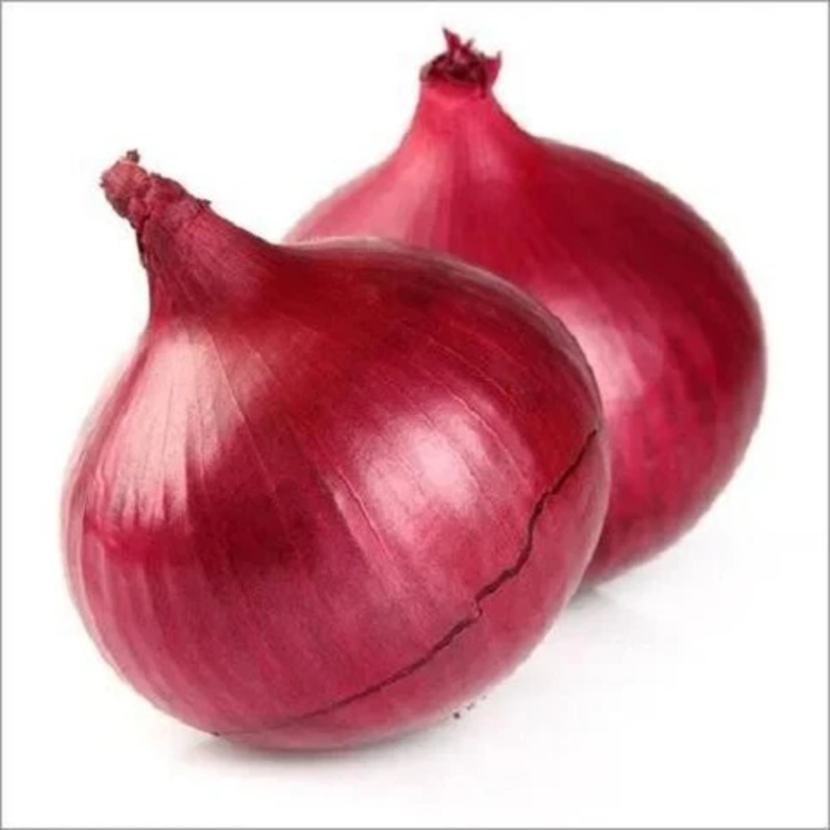 Fresh Red Onion