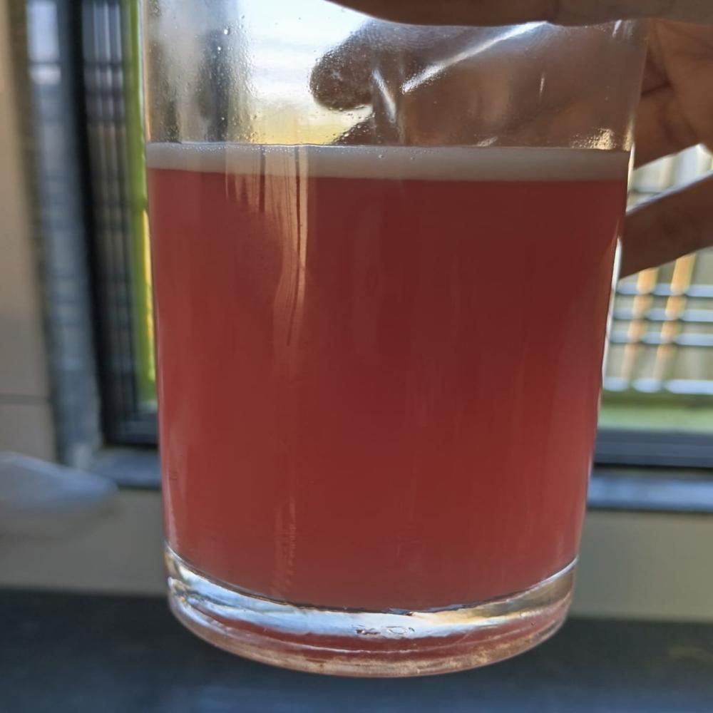 à¤¸à¥à¤à¥ à¤¤à¤°à¤¬à¥à¤ à¤à¥ à¤°à¤¸ à¤à¥ à¤ªà¤¾à¤à¤¡à¤° à¤à¤¾ à¤à¤¿à¤¡à¤¼à¤à¤¾à¤µ à¤à¤°à¥à¤