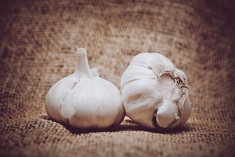 Fresh White Garlic - Preserving Compound: Chemical Preservatives As Per Norms